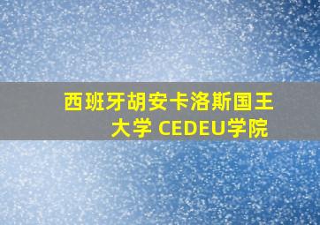 西班牙胡安卡洛斯国王大学 CEDEU学院